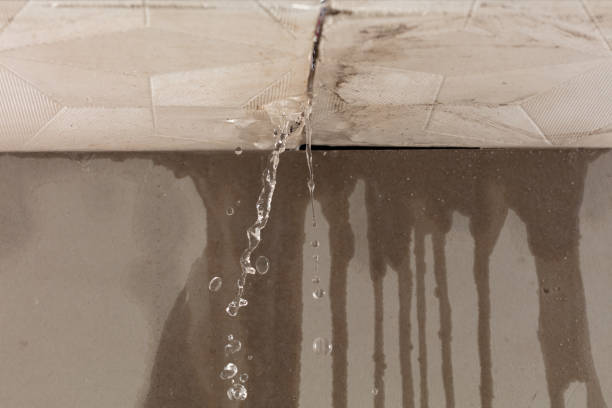 Professional Structural Drying technician working in Glen Oaks, NY